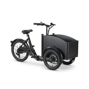 Chanty Cargo Teen Electric