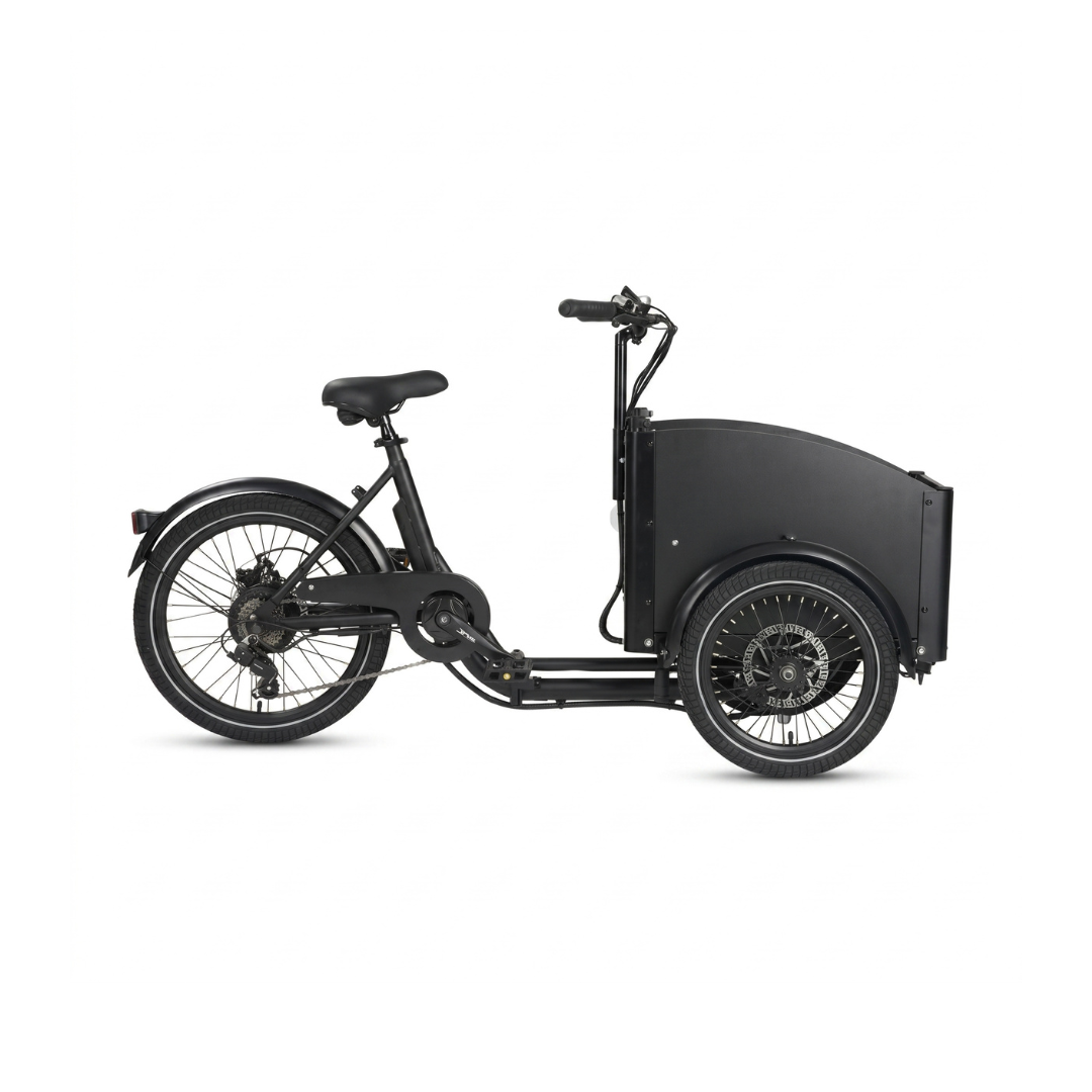 Chanty Cargo Teen Electric
