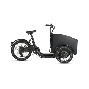 Chanty Cargo Teen Electric