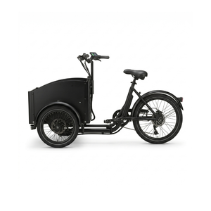Chanty Cargo Teen Electric