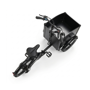 Chanty Cargo Teen Electric