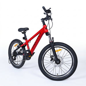 Chanty MTB 20