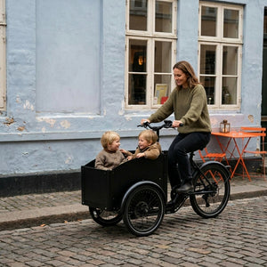 Chanty Cargo City Bike Electric