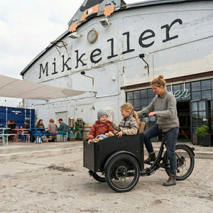 Chanty Cargo City Bike Electric