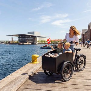 Chanty Cargo City Bike Electric