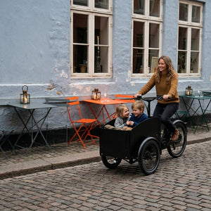 Chanty Cargo City Bike Electric