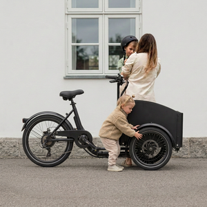 Chanty Cargo City Bike Electric