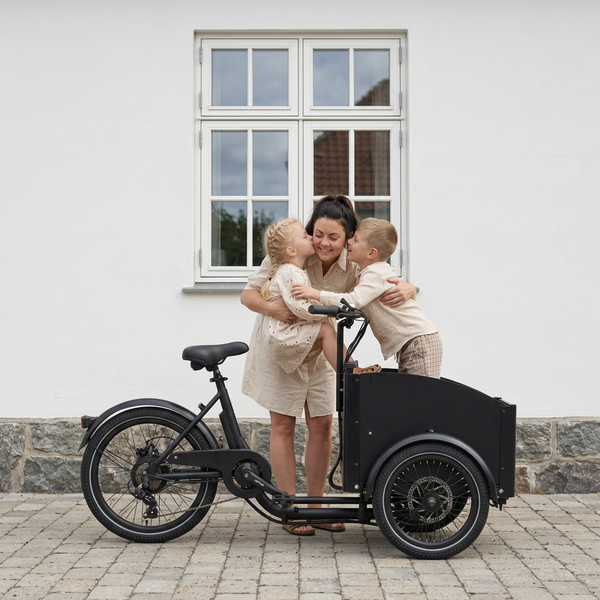 Chanty Cargo City Bike Electric