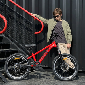 Chanty MTB 20
